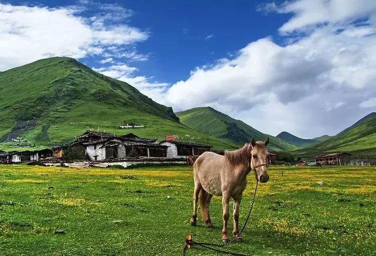 百家入驻！基金公司发力顶流平台