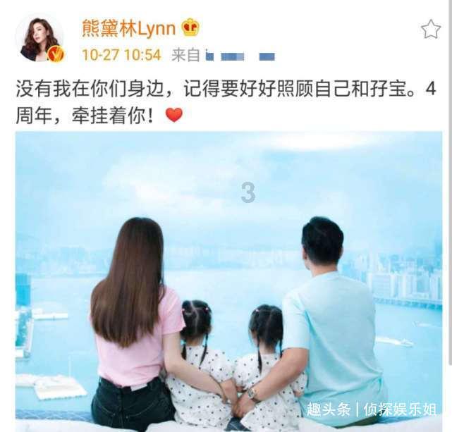 可爱猪救援2