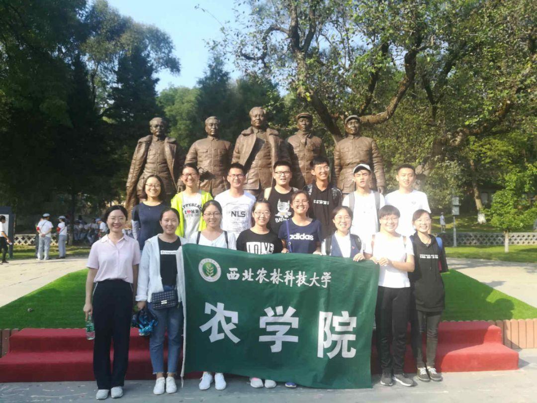 临沂市青年联合会文化艺术界别“暖冬行动”新春送温暖活动走进费县上冶镇