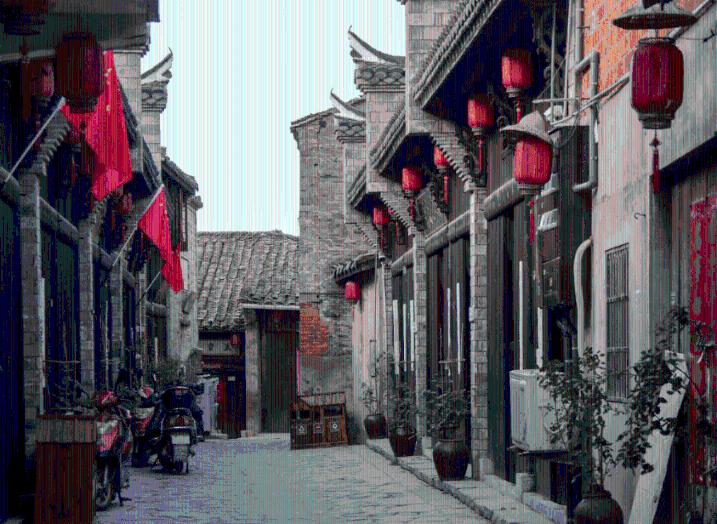 呆萌动物园